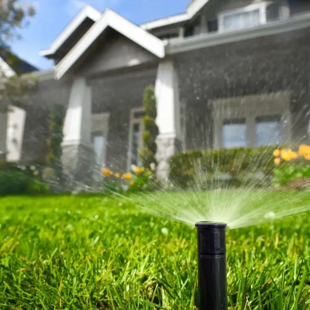 A sprinkler is spraying water on a lush green lawn in front of a house.