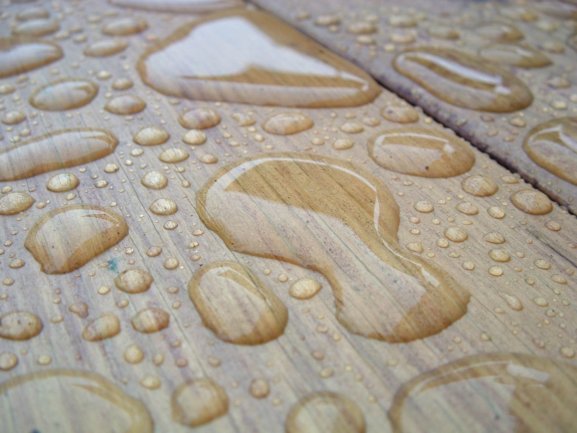waterproof hardwood floor