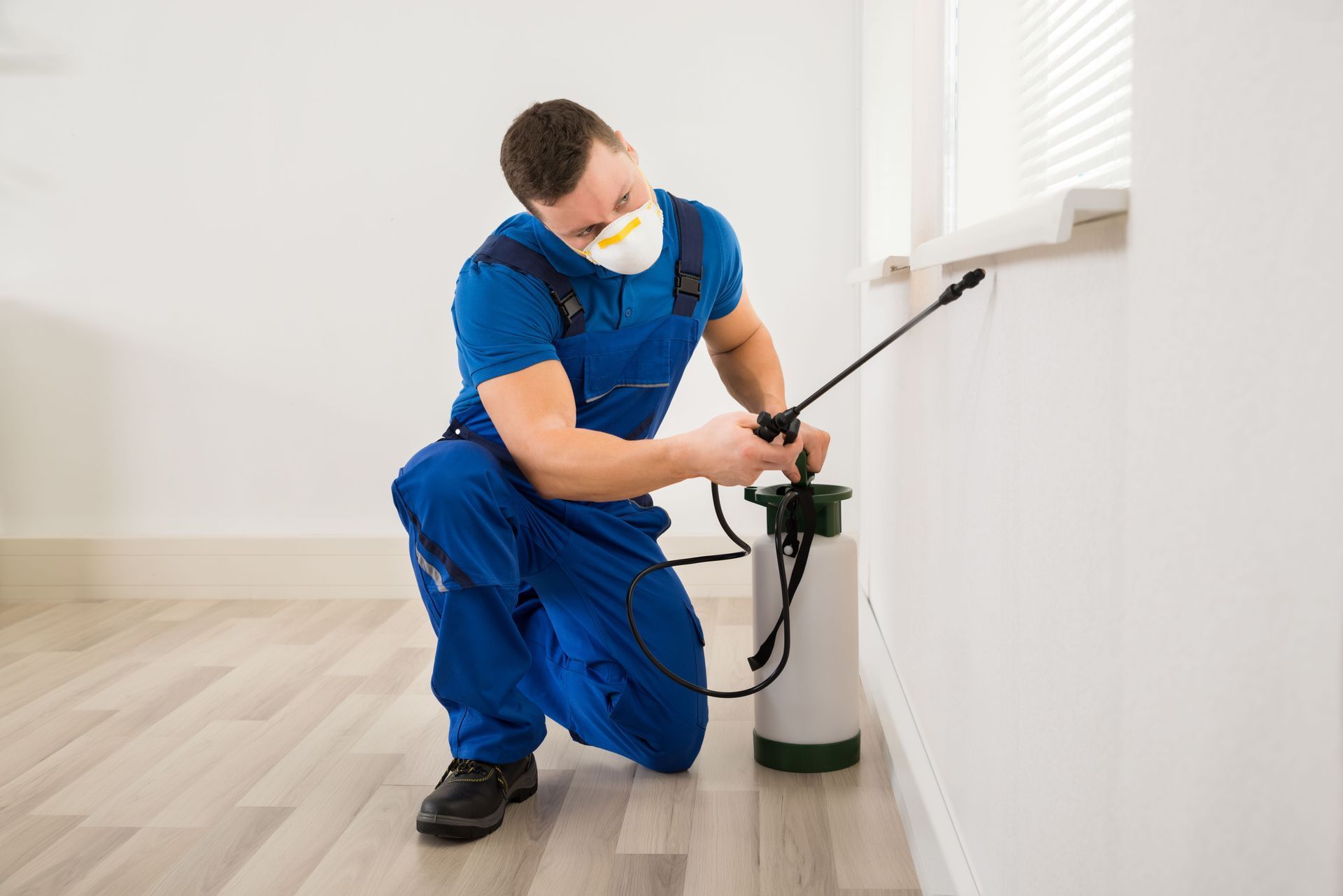 Pest control worker in blue jumpsuit kneels, spraying a wall near a window. He wears a respirator.