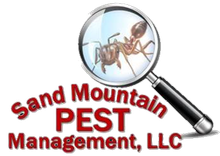 Sand Mountain Pest Management - logo