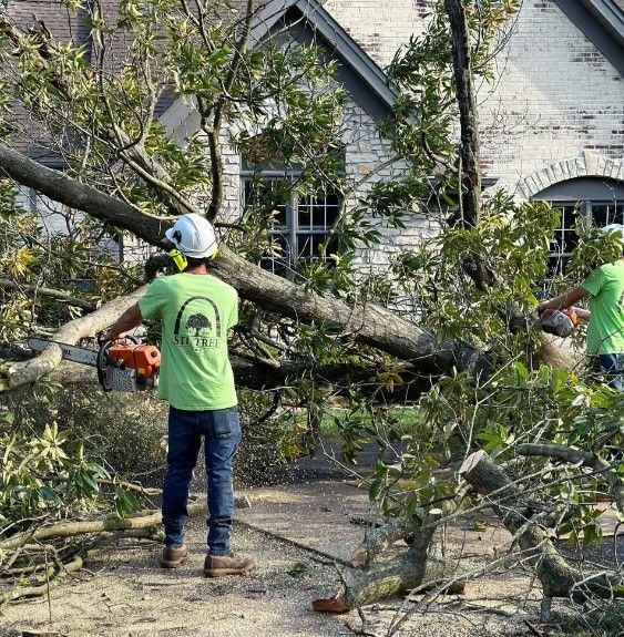 tree removal company