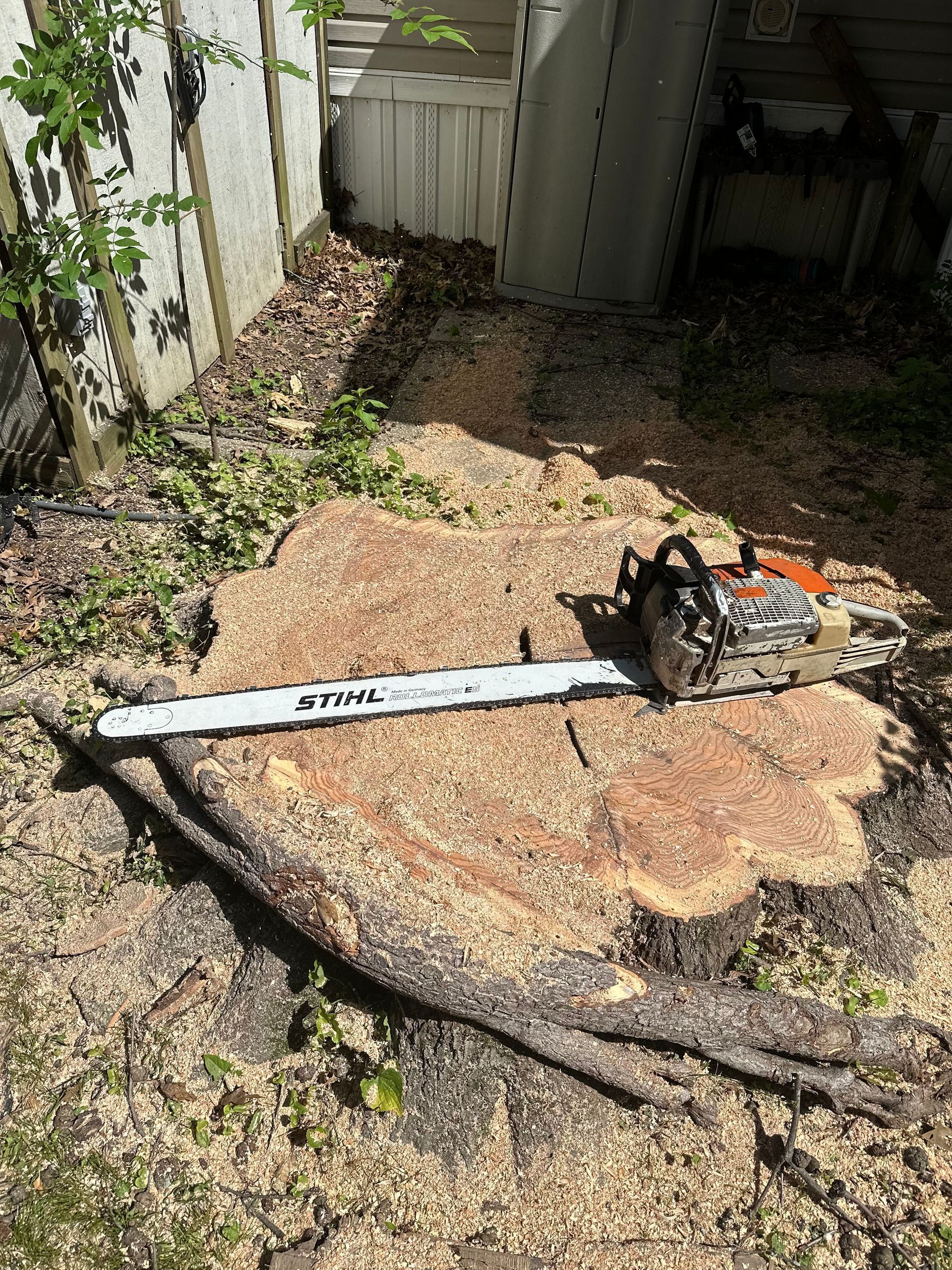 A chainsaw rests on a large tree stump covered in sawdust. Backyard setting with a white fence visible.
