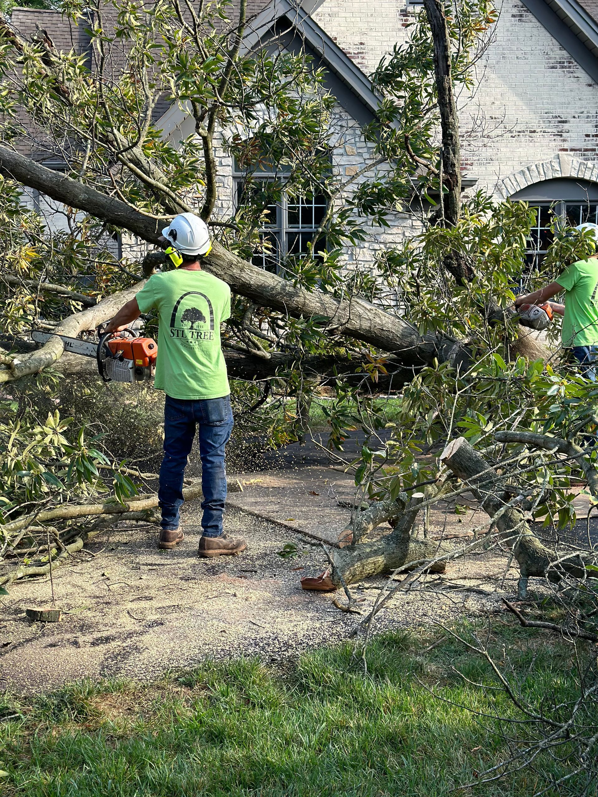 Two people cutting tree branches near a house; one uses a chainsaw, the other appears to be cutting as well.