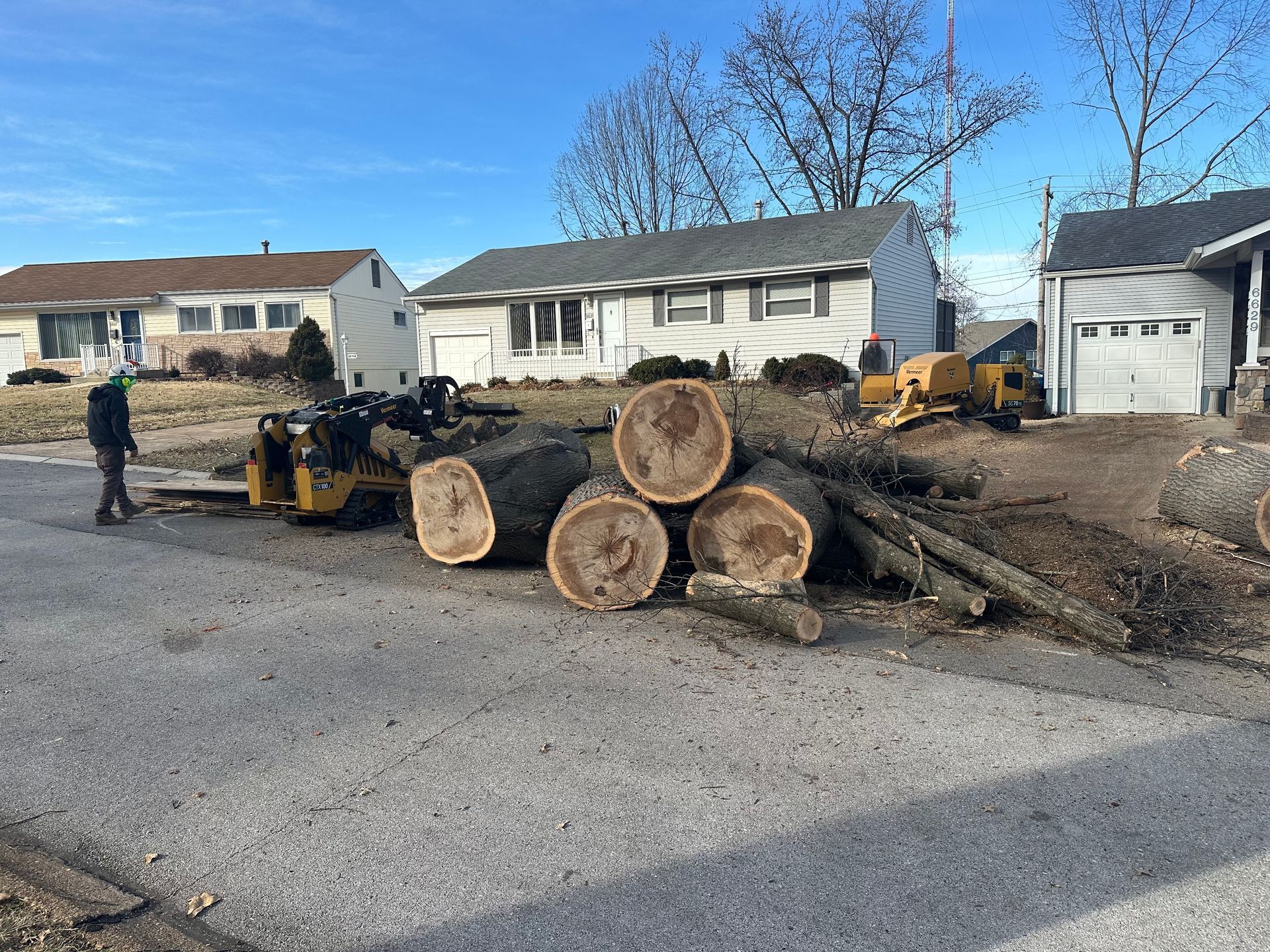 Tree removal on residential street: logs piled, worker by a skid steer and a wood chipper. Sunny day.