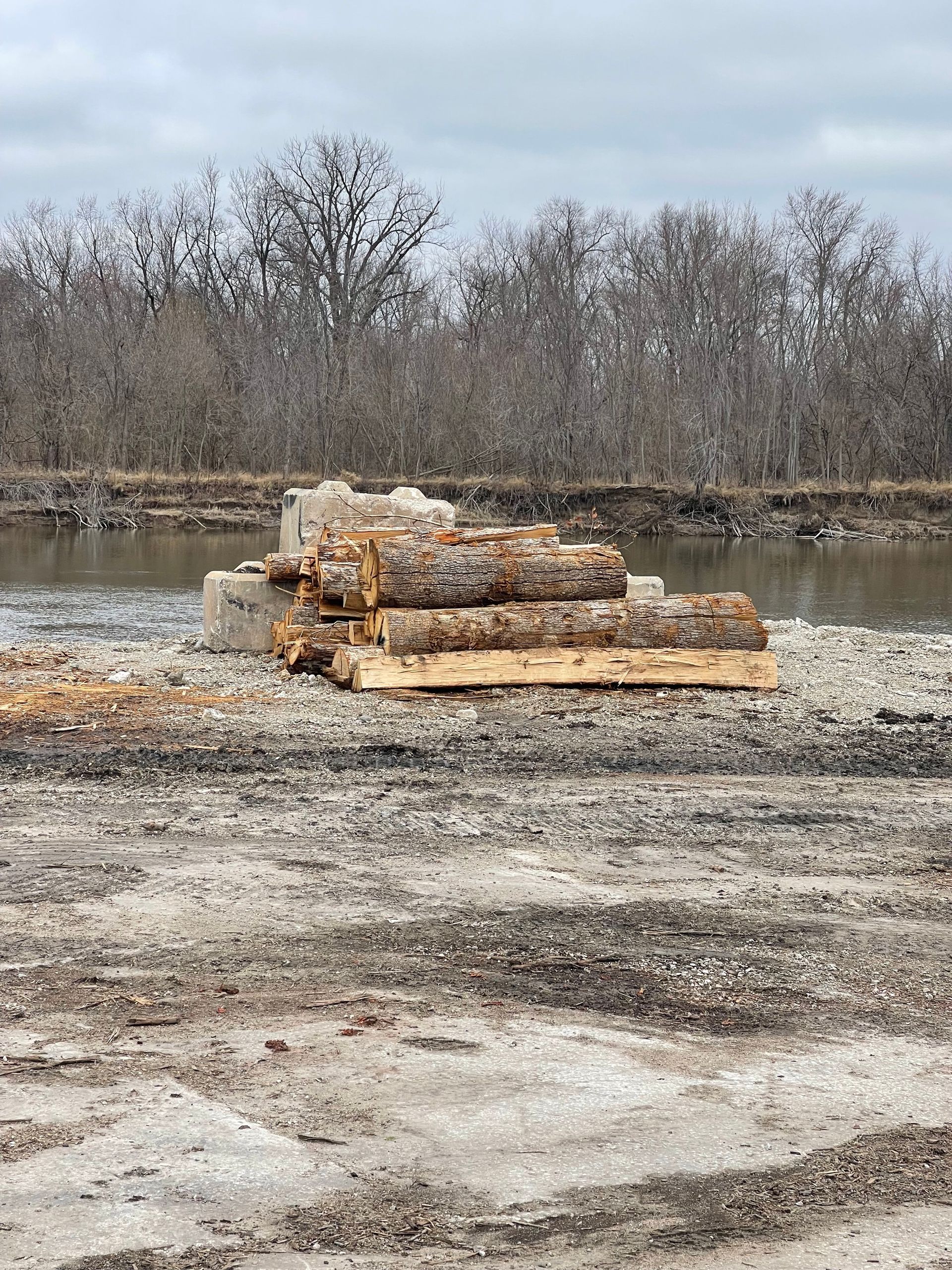 Logs stacked on a concrete structure in a riverbed, with bare trees in the background under a cloudy sky.