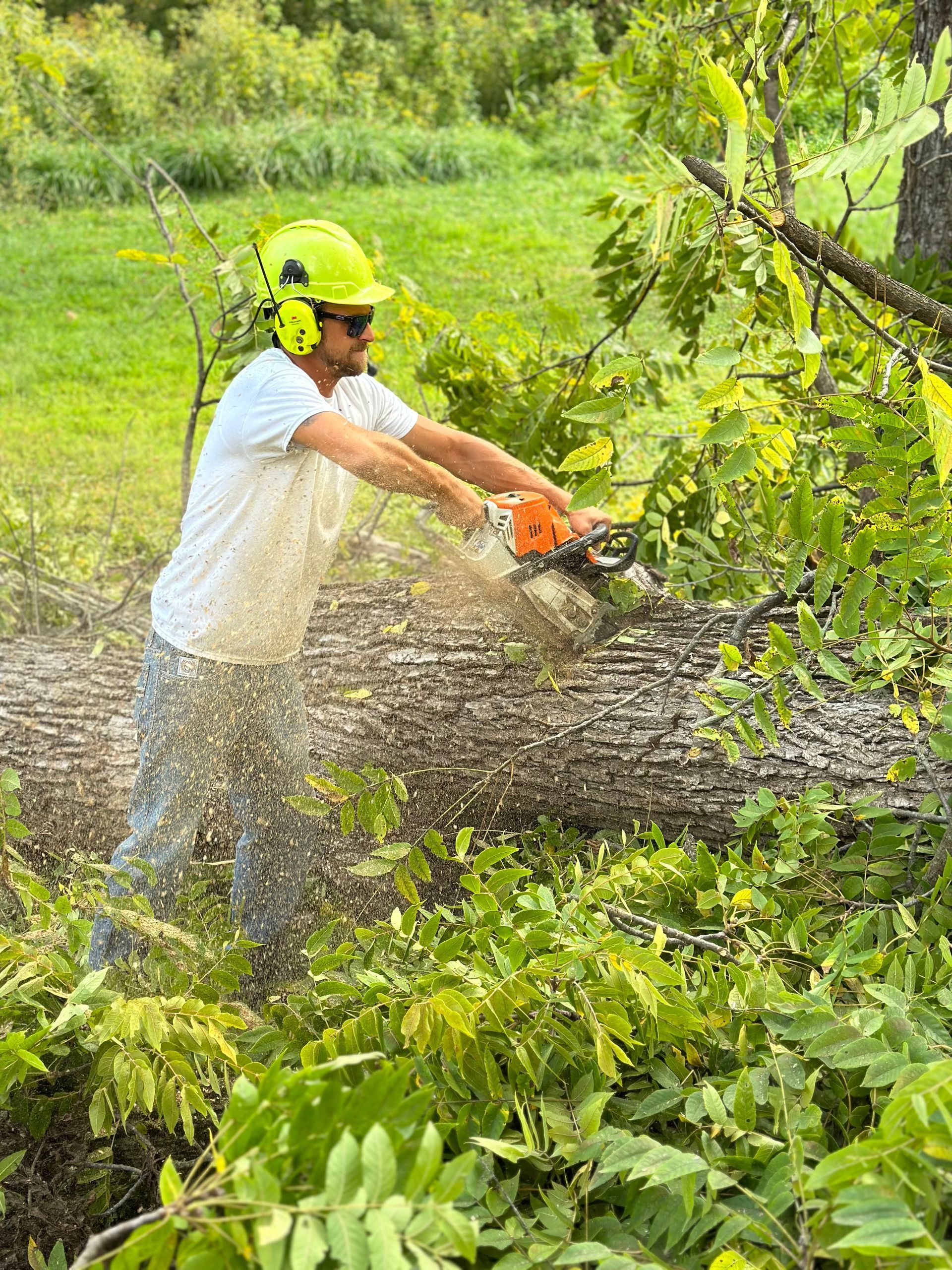 Man in hardhat using a chainsaw on a fallen tree; sparks fly. Outdoors, grassy area.