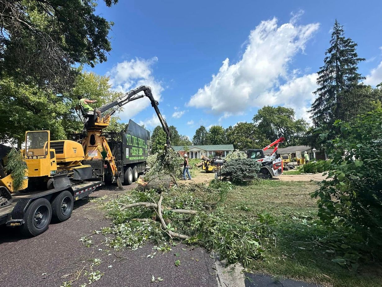 STL Tree Services