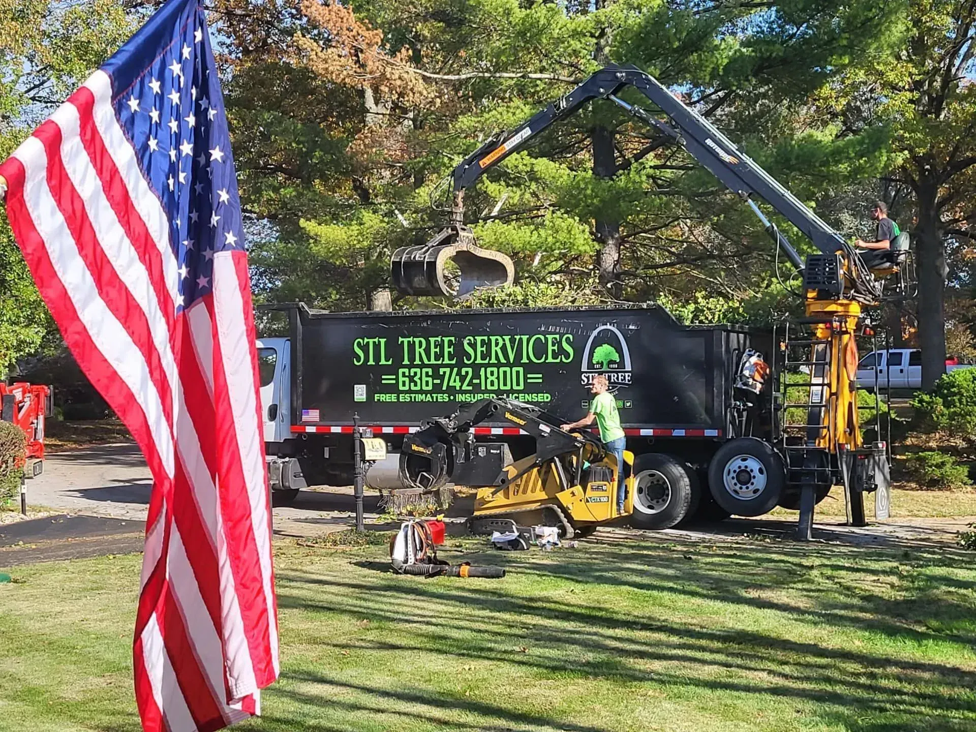 local tree removal company