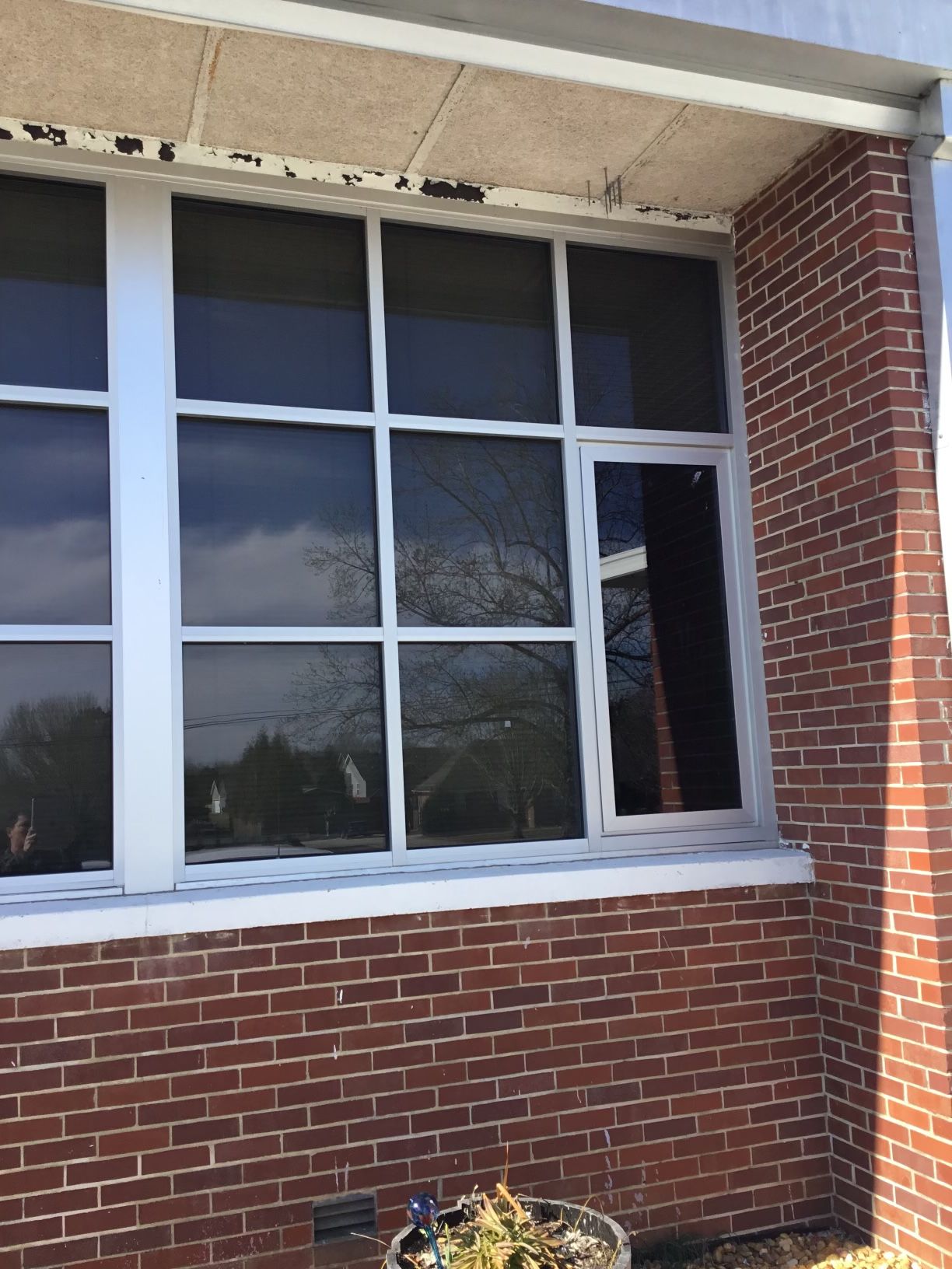 Commercial windows