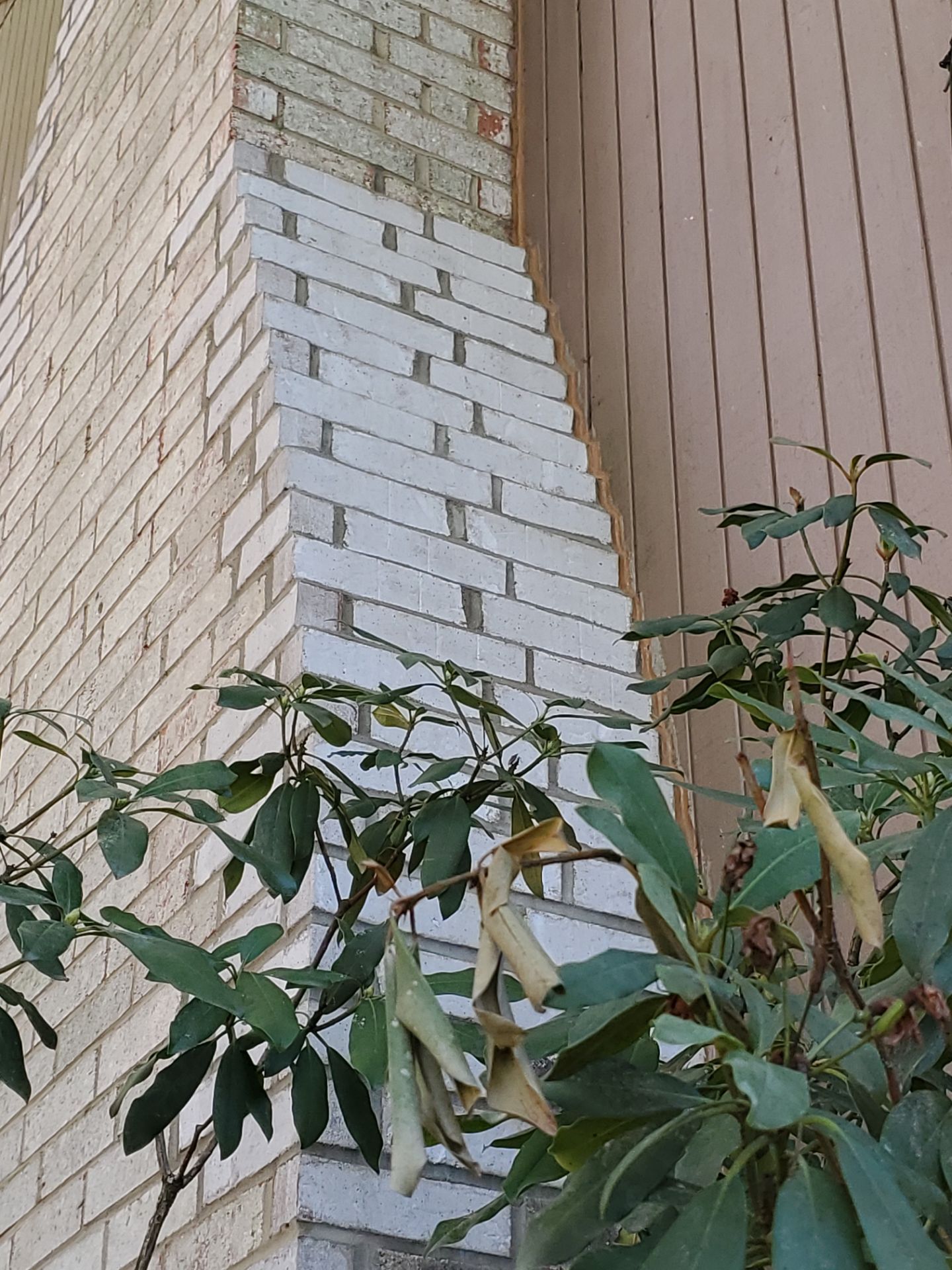 Brick chimney next to tan siding, with green leafy plant in foreground.