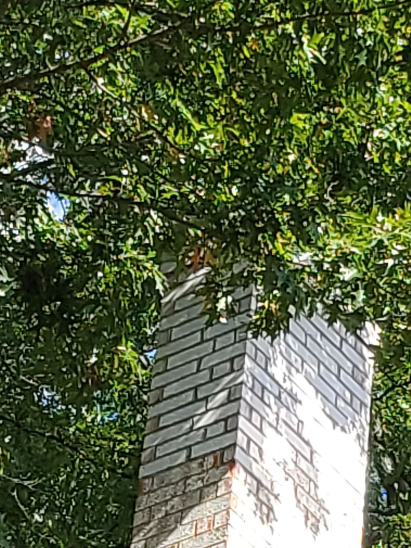 White brick chimney against a backdrop of green tree leaves.