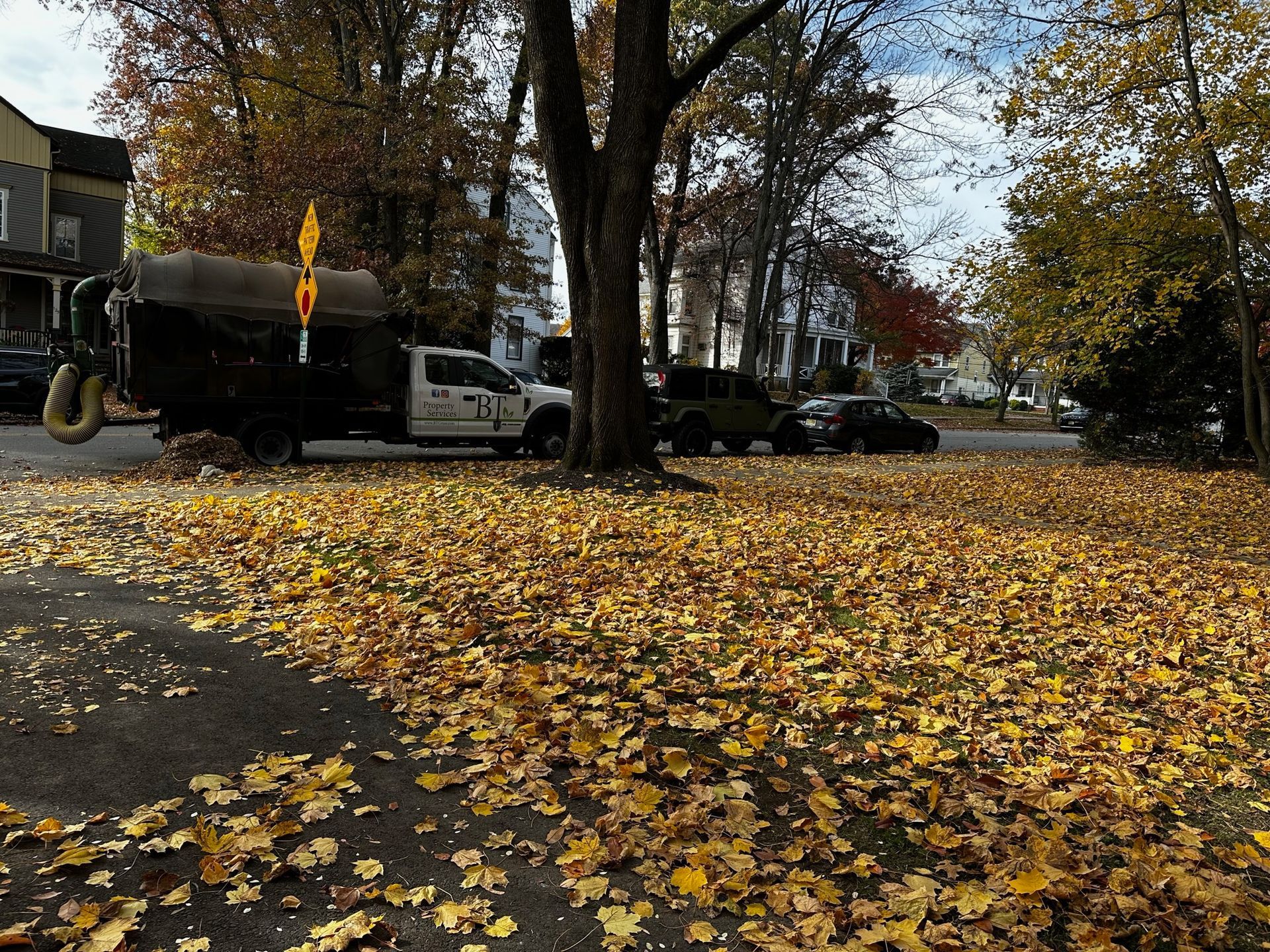 Truck collecting leaves on a street covered in fallen yellow leaves. Houses in the background.