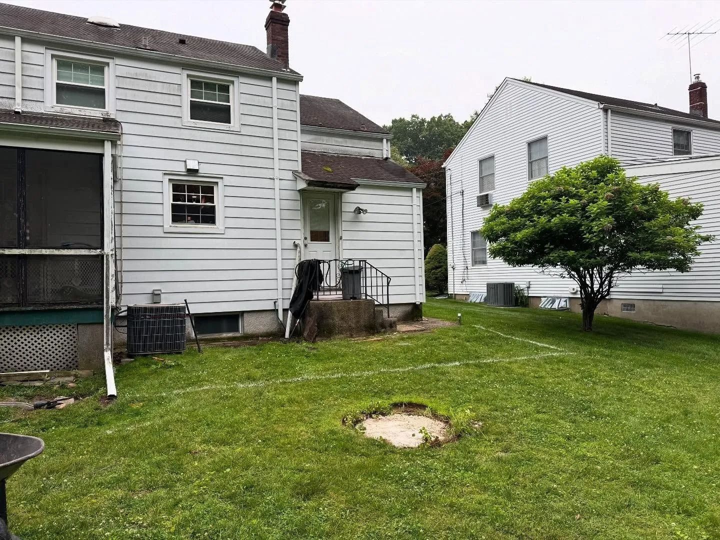 Backyard with two white houses, green grass, and a small tree.