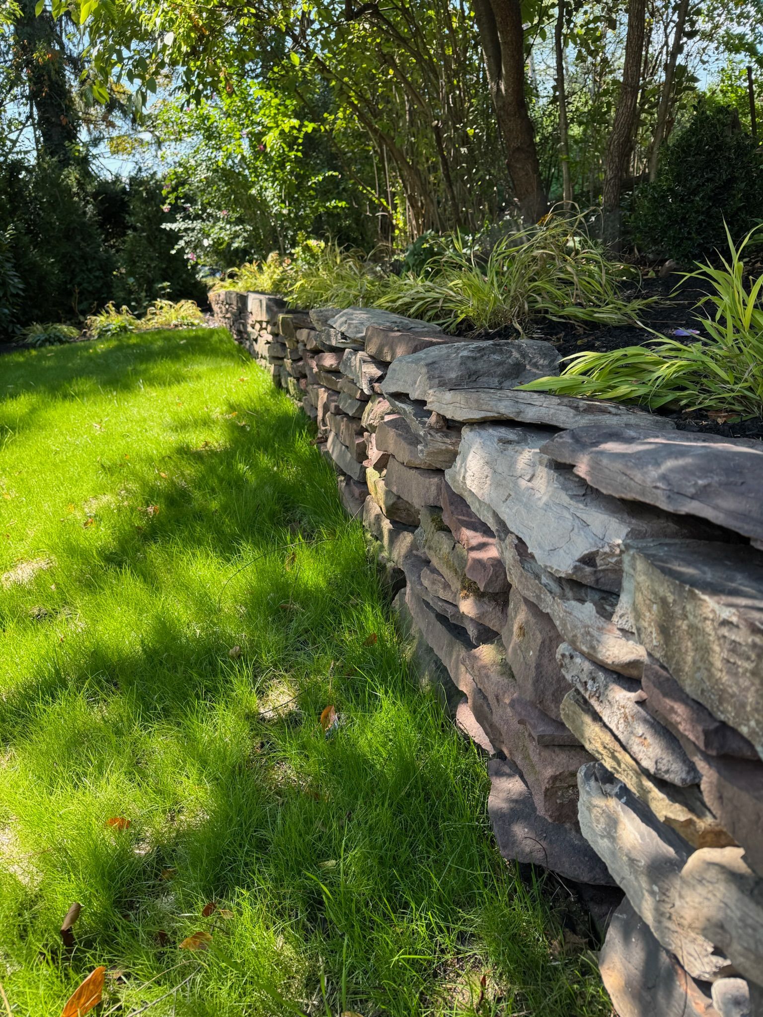 Stone wall with greenery along the top, beside a green grassy lawn in a sunny outdoor setting.