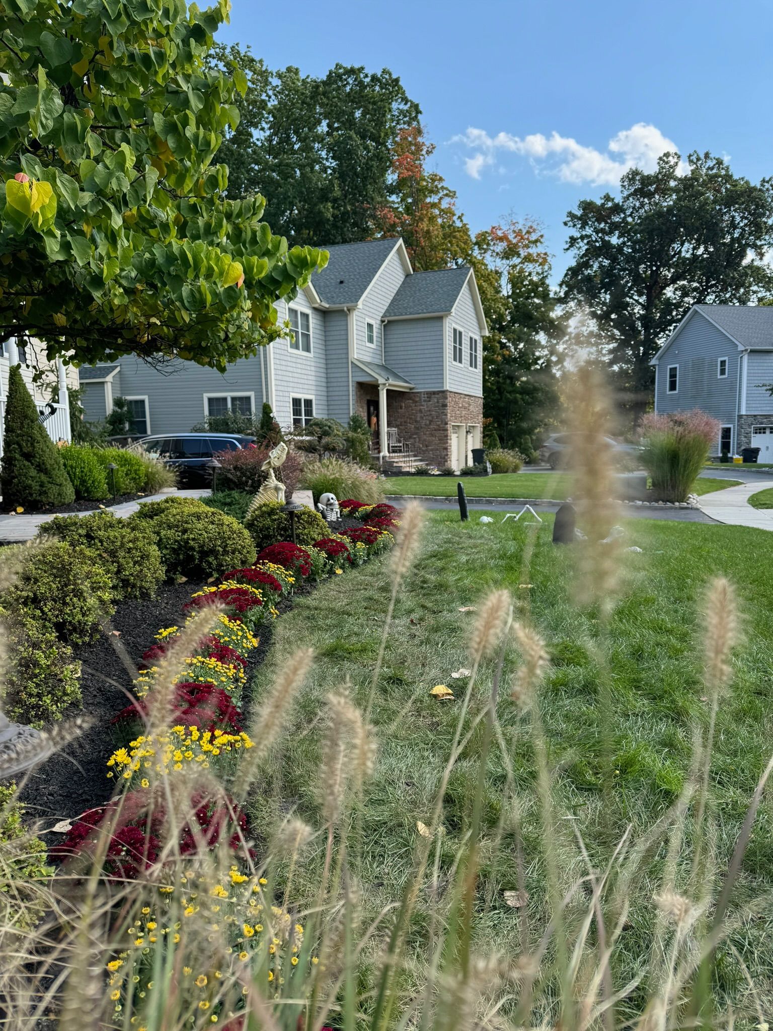 Residential street with houses, colorful flowers, and tall grass under a blue sky.