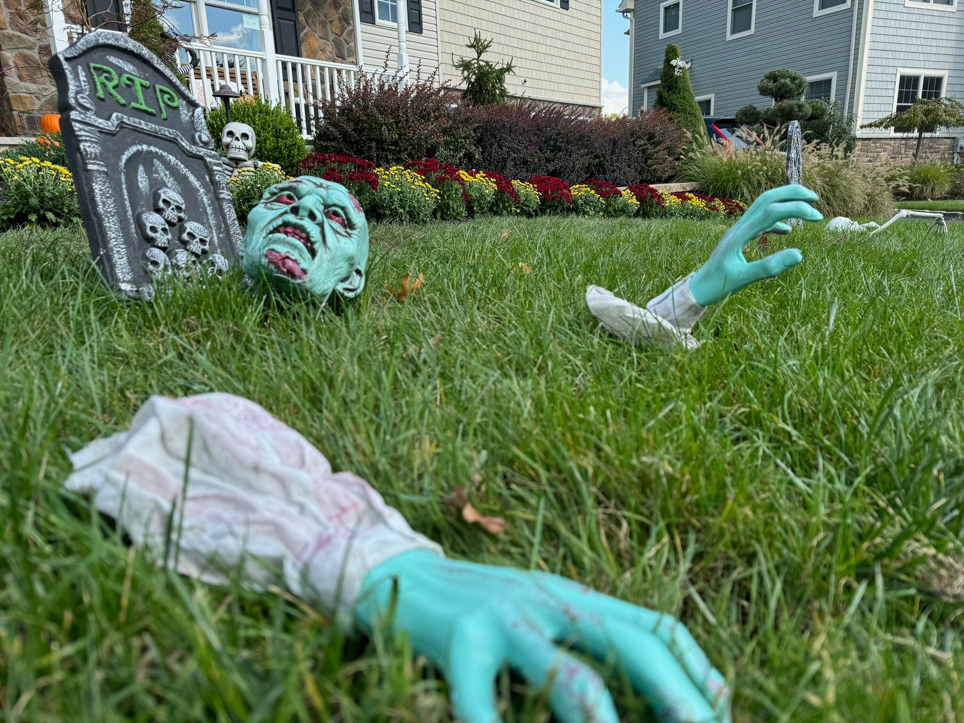Halloween lawn display: zombie hands and head emerging from grass, tombstone.