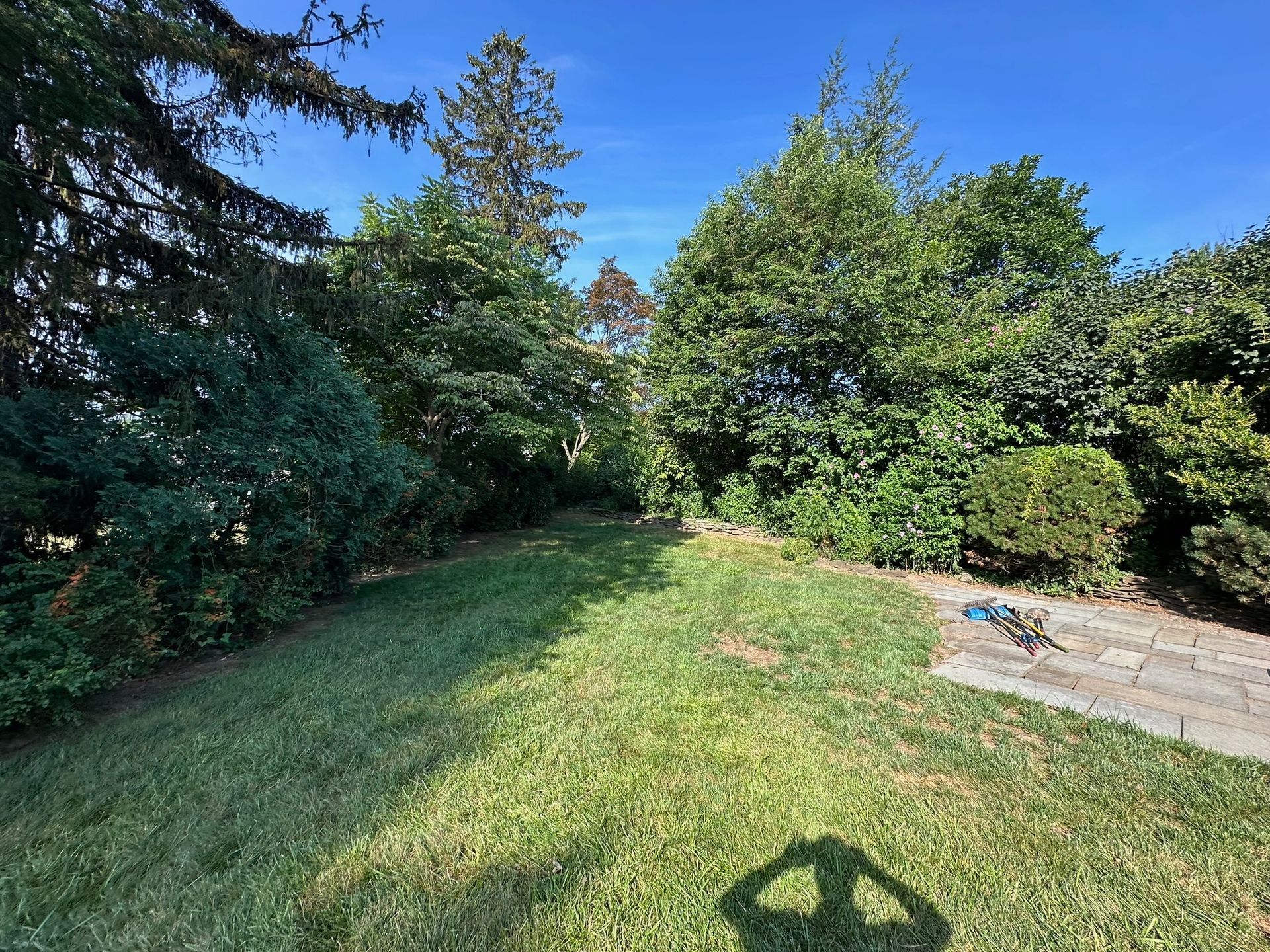 Green lawn in a yard with bushes and trees under a clear blue sky.