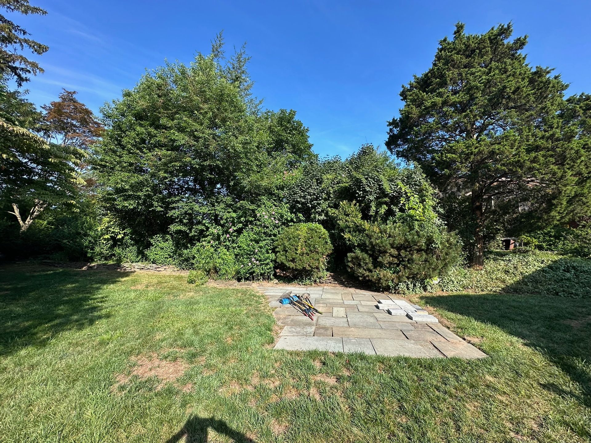 Grassy backyard with stone patio, surrounded by green trees and bushes under a clear blue sky.