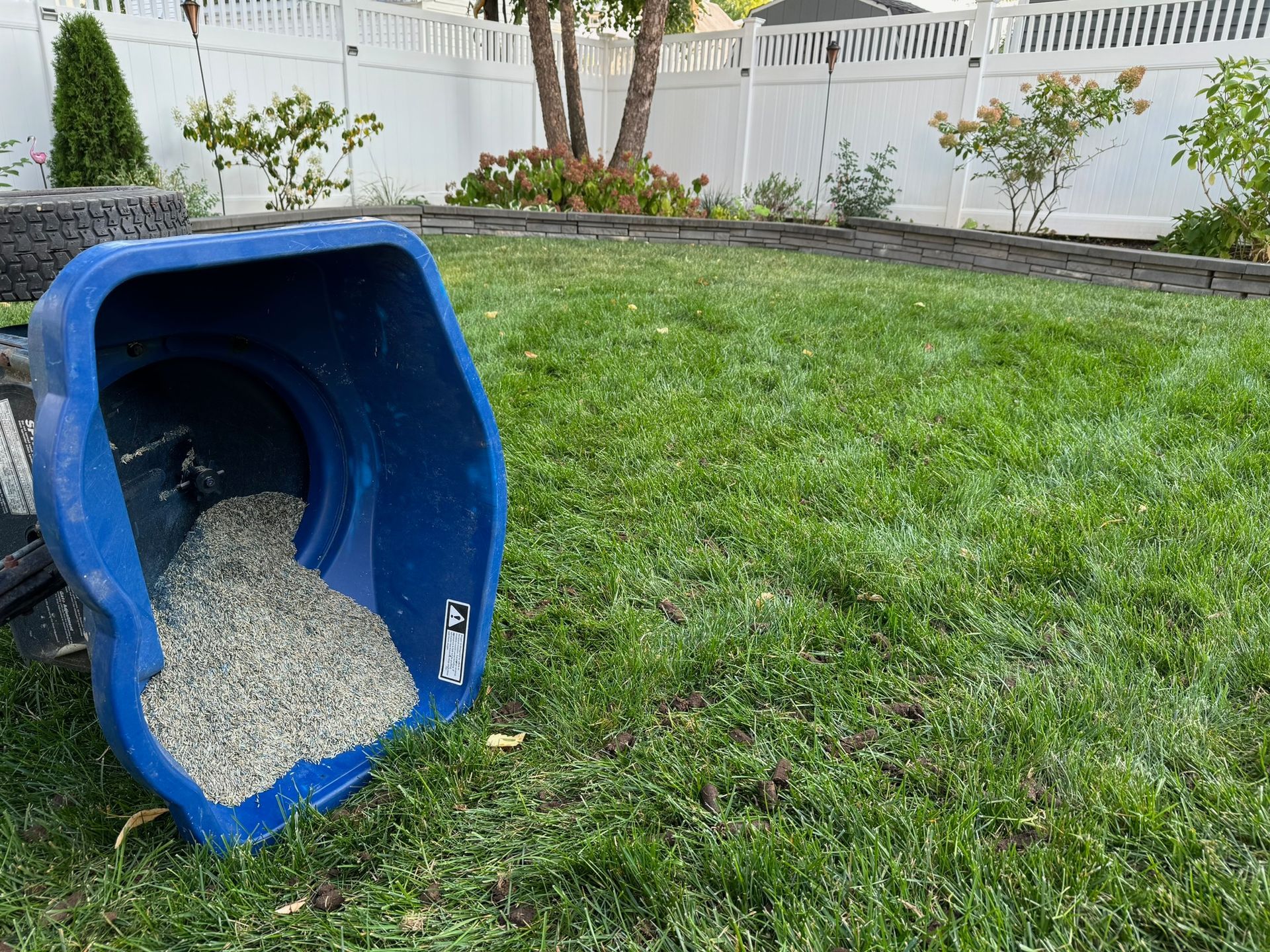 Blue utility cart overturned on grass, spilling gravel. White fence and yard in background.