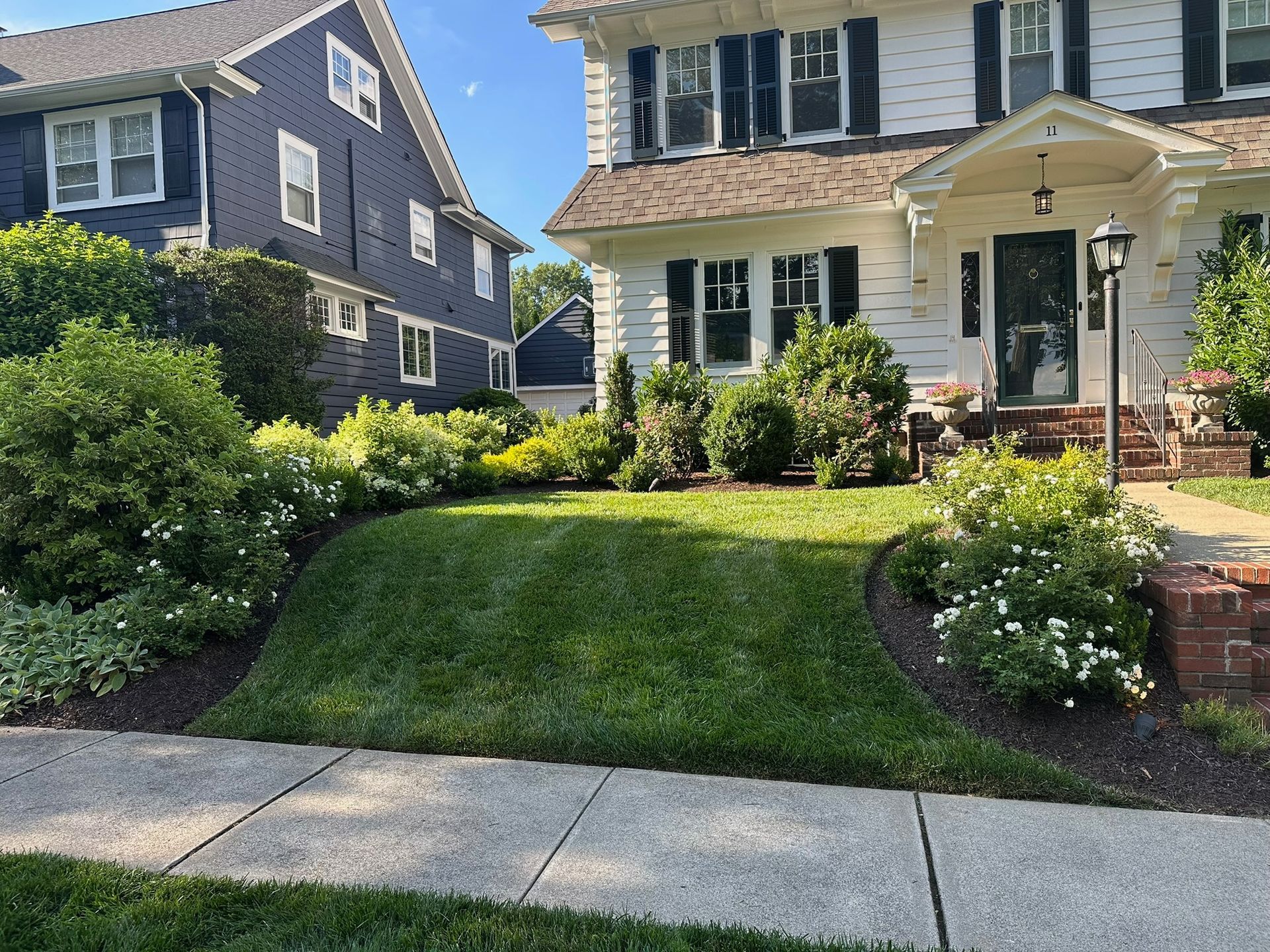 A well-manicured lawn with a curved edge in front of two houses; one white and one blue.