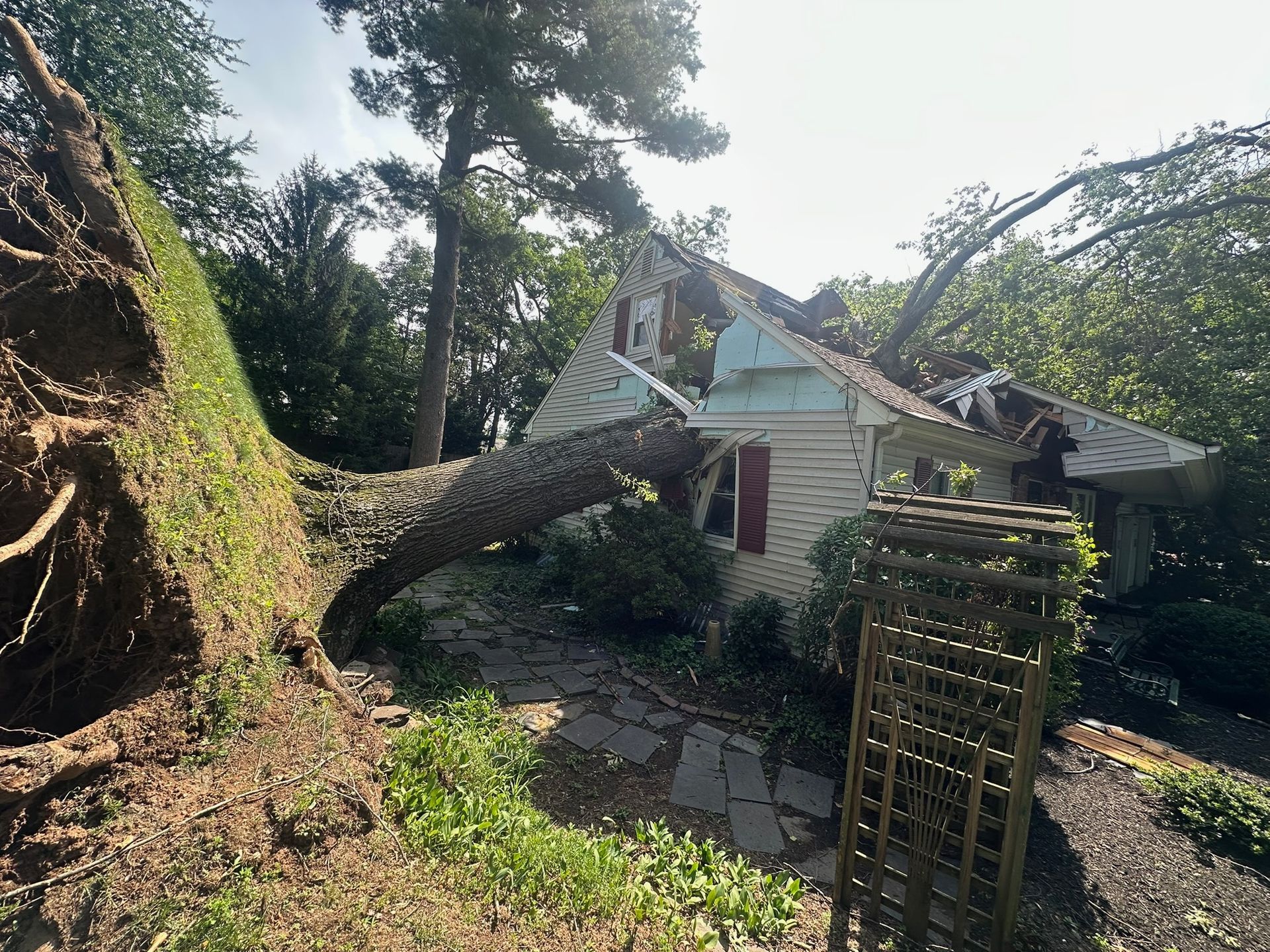 Fallen tree on a house roof. White building with damaged roof, green yard, brown tree roots.