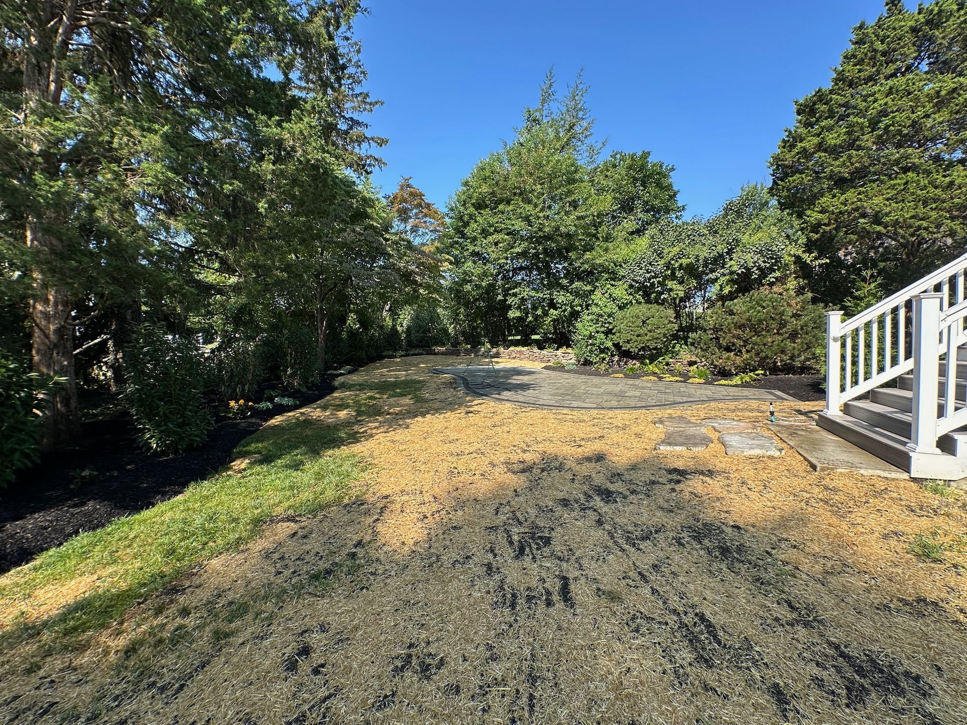 Gravel-covered yard with stairs on the right, trees and green grass on the edges, under a blue sky.