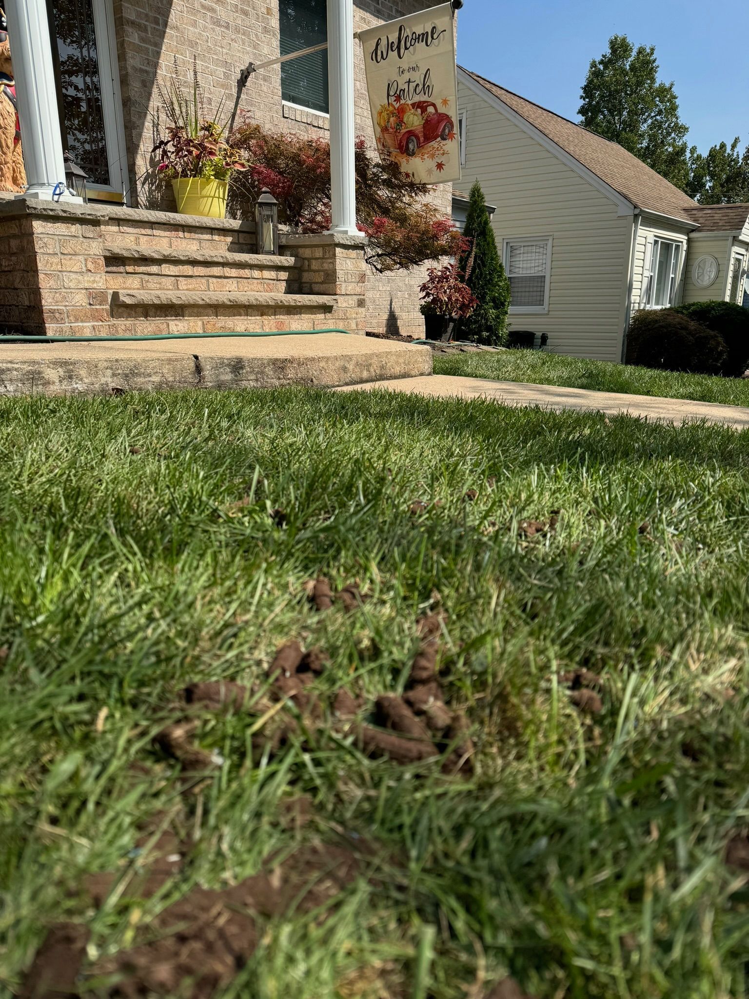 Grass in foreground with a house front porch, steps, and flower planters in bright sunlight
