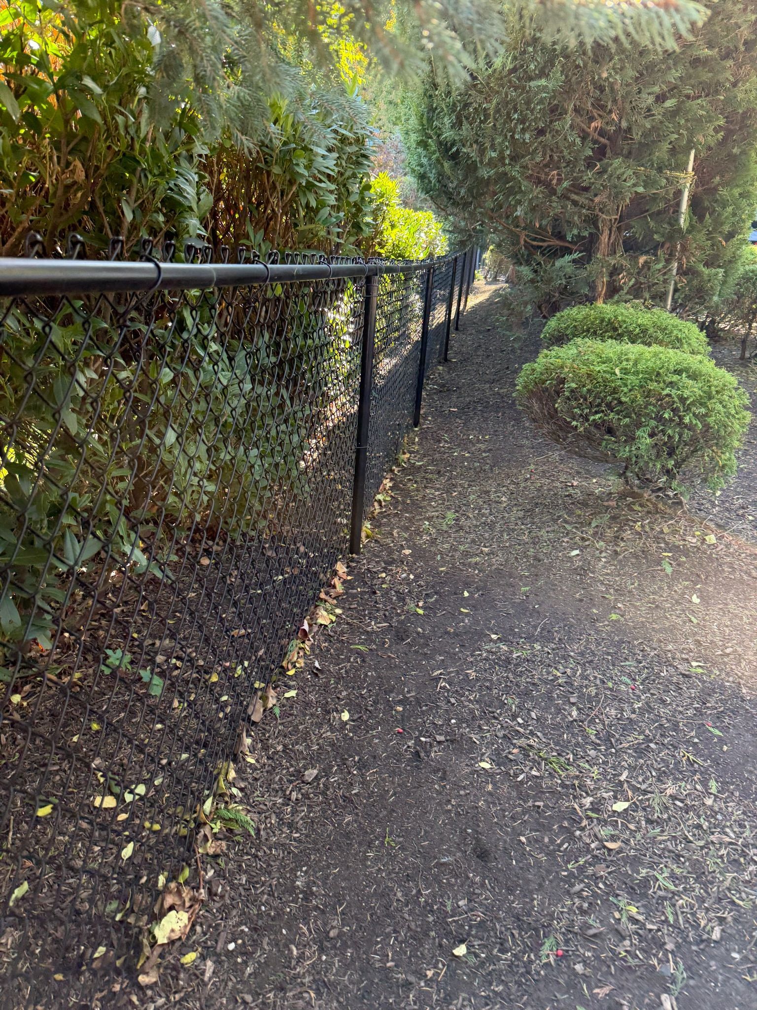 Narrow paved path beside black railings and dense greenery, with wet leaves scattered on the ground.