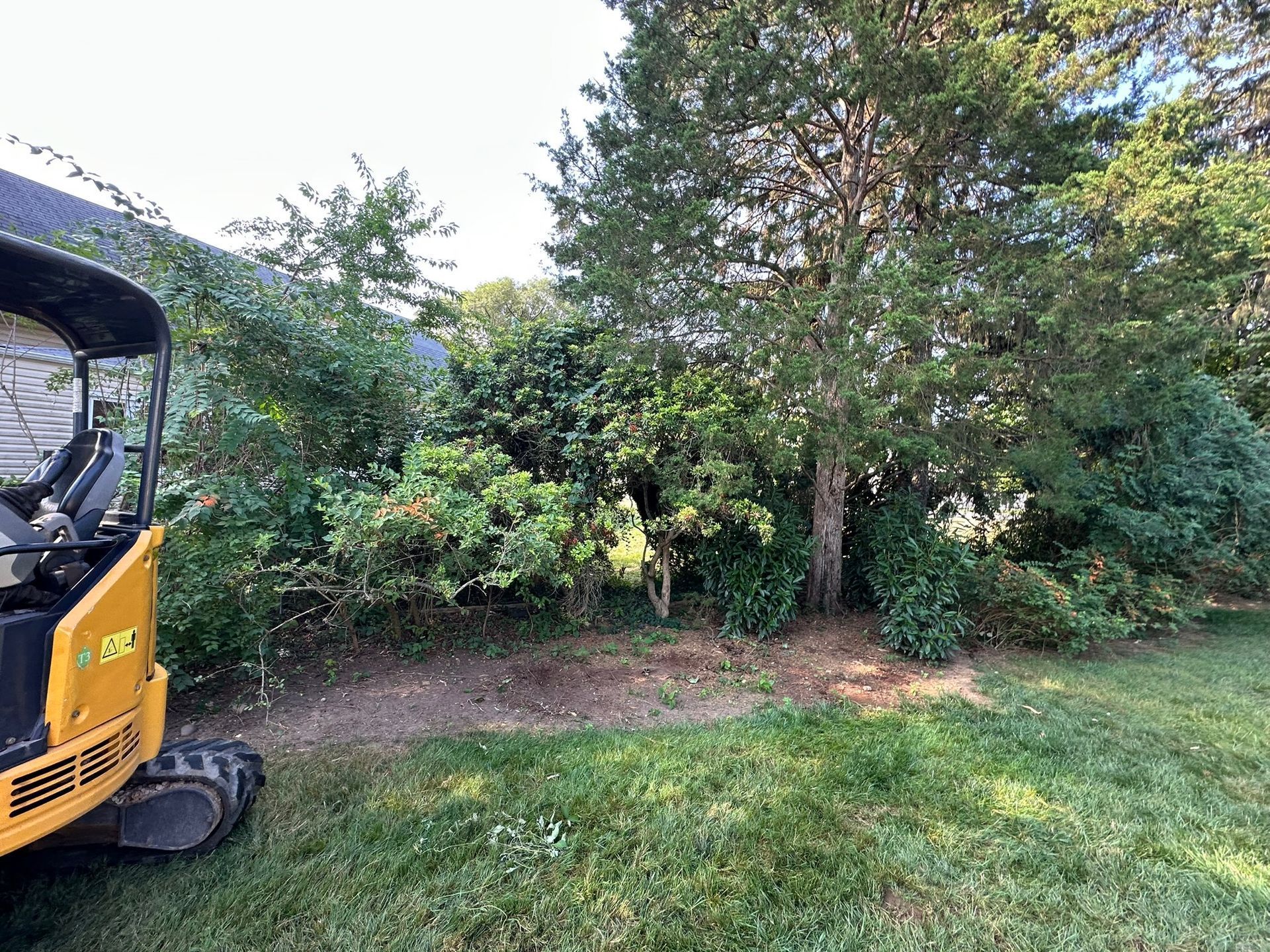 Yellow excavator beside dense trees and bushes in a grassy yard