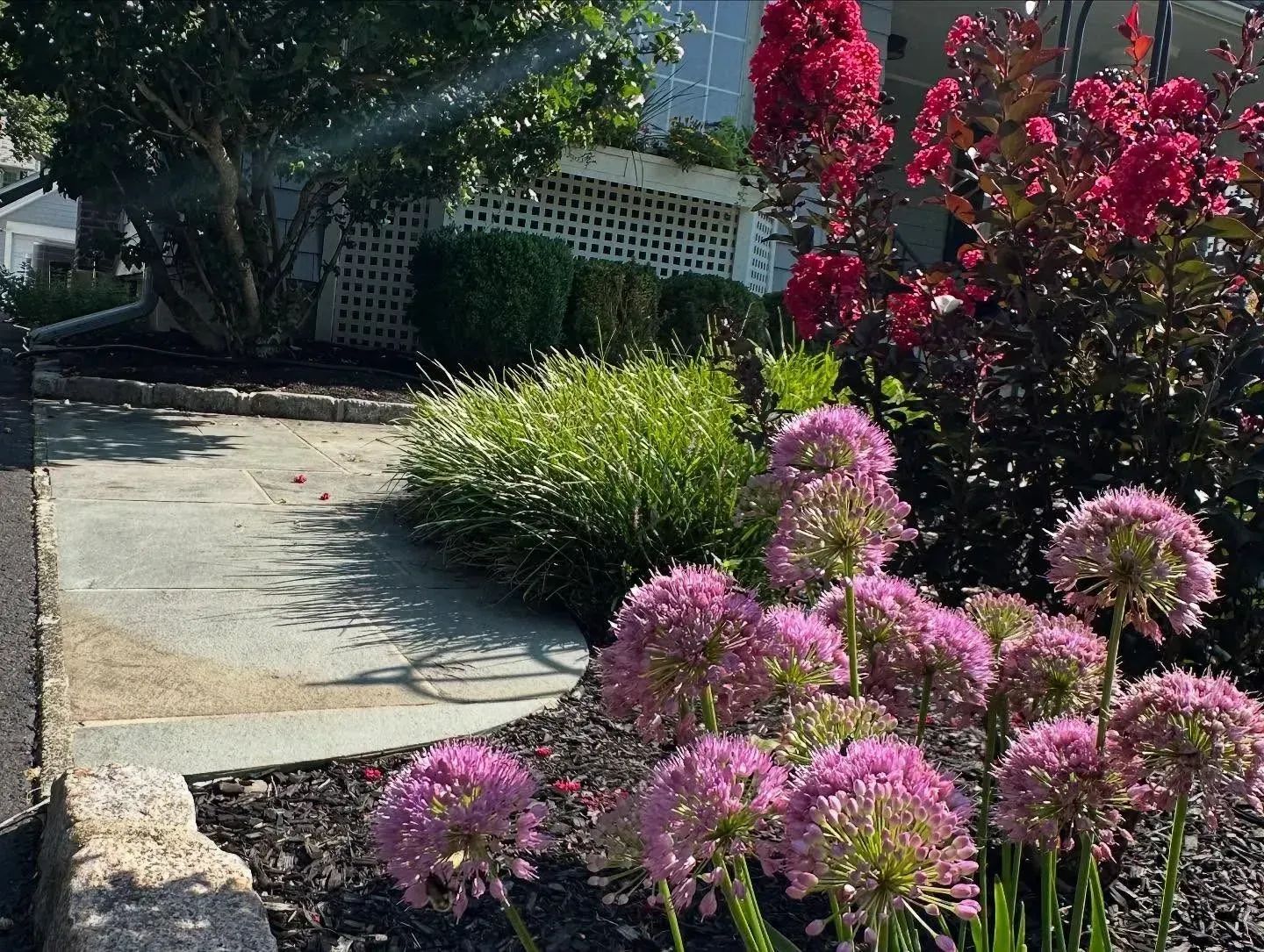 Front garden with pink flowering plants, a stone path, and a house in the background