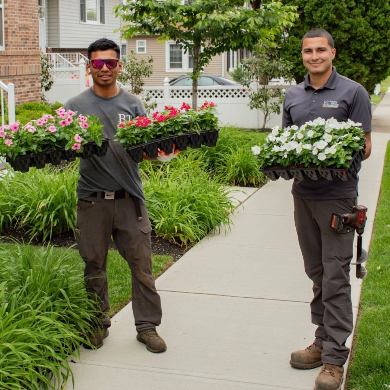 Two landscapers holding trays of pink and white flowers on a sidewalk in a residential area