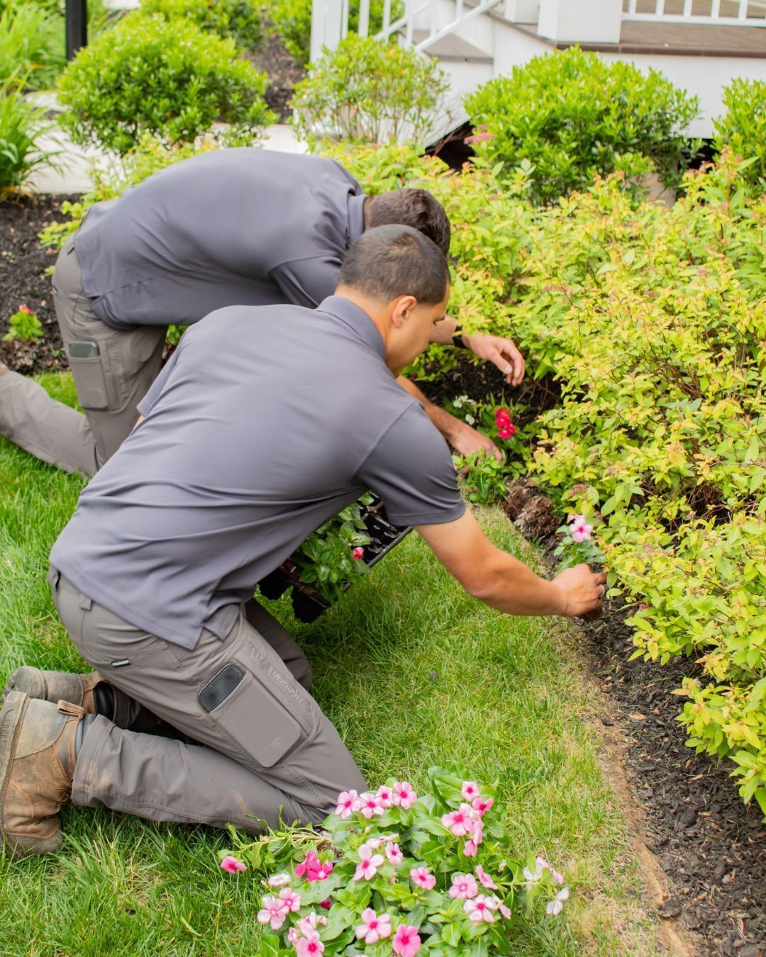 Two workers kneeling to plant flowers in a garden bed beside a house