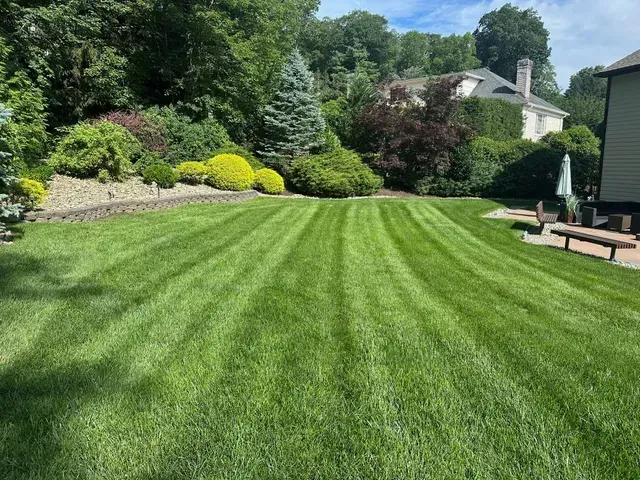 Lush green backyard lawn with striped mowing lines, shrubs, trees, and a patio with benches.