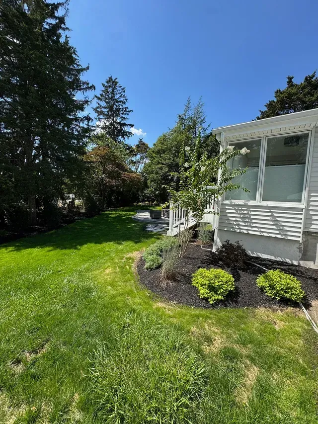 Sunny front yard with green lawn, flower bed, and white house siding beside tall trees.