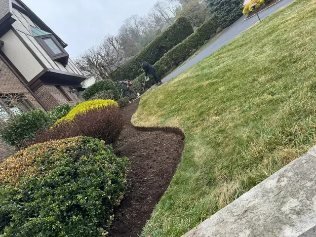Suburban front yard with trimmed shrubs, grass, and a house along a sloped walkway.