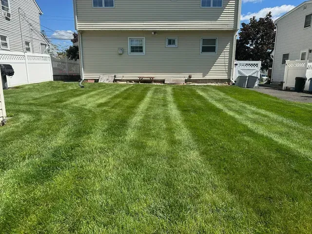 Backyard lawn with striped green grass behind a beige house on a sunny day