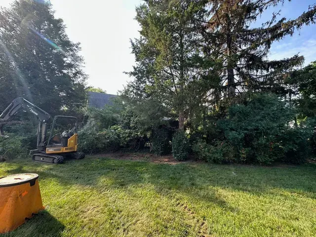 Backyard with green lawn, tall trees, shrubs, and a small excavator at left.