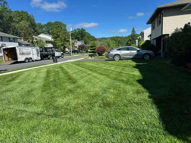 Suburban lawn with freshly mowed green grass beside houses, a parked car, and a truck on a sunny day
