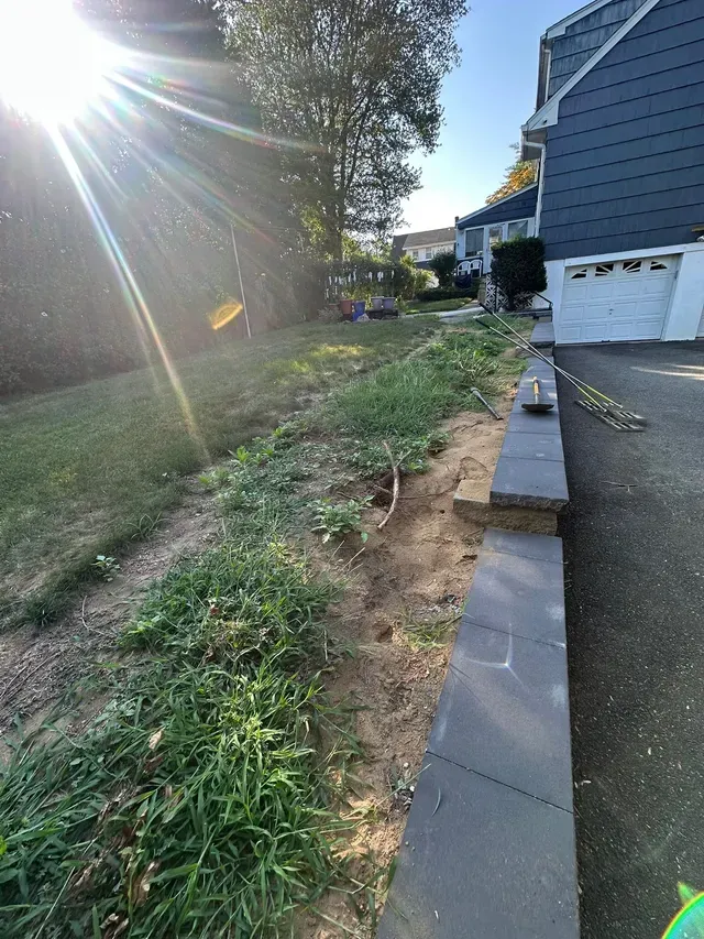 Sloped yard beside a blue house, with a stone walkway and sunlight streaming through trees.