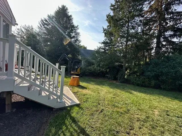 Backyard with white porch stairs, green lawn, trees, and a small orange fire pit under a sunny sky