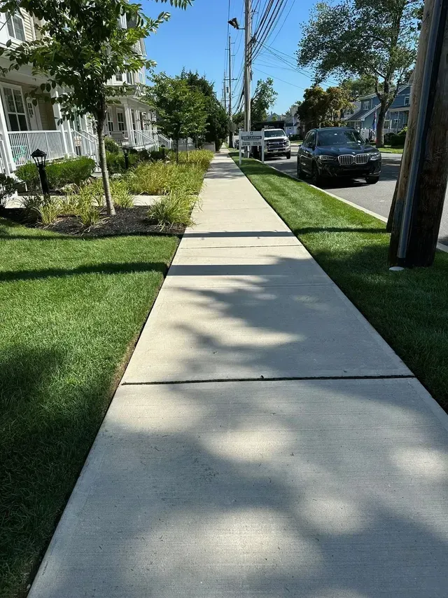 Sunny residential sidewalk beside houses, grass, and parked cars on a quiet street.