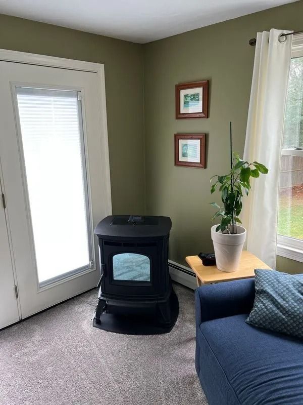 A black pellet stove in a corner room with a door, window, blue sofa, and green walls.