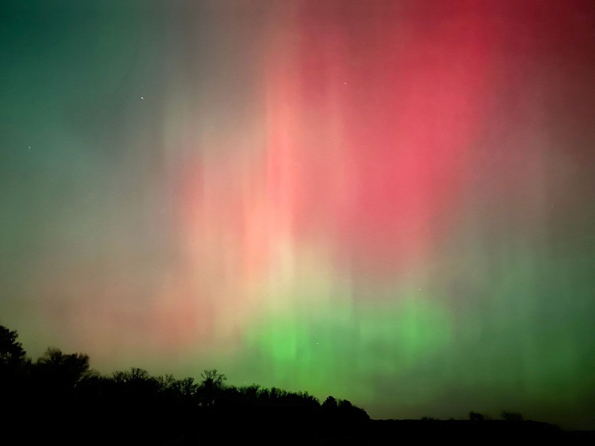 Aurora borealis displays vibrant red, green, and teal colors in a night sky, over a dark treeline