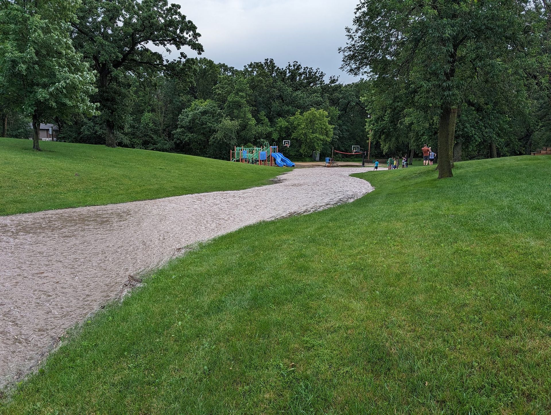 A path going through a park with trees and a playground in the background.