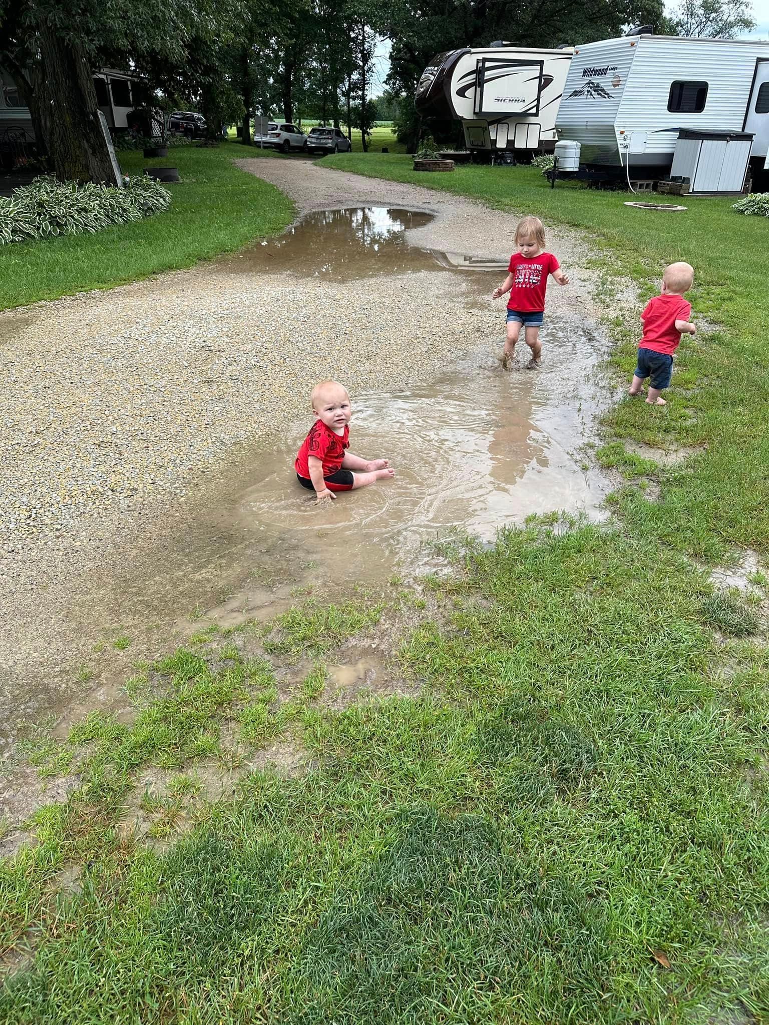 Three children are playing in a muddy puddle.