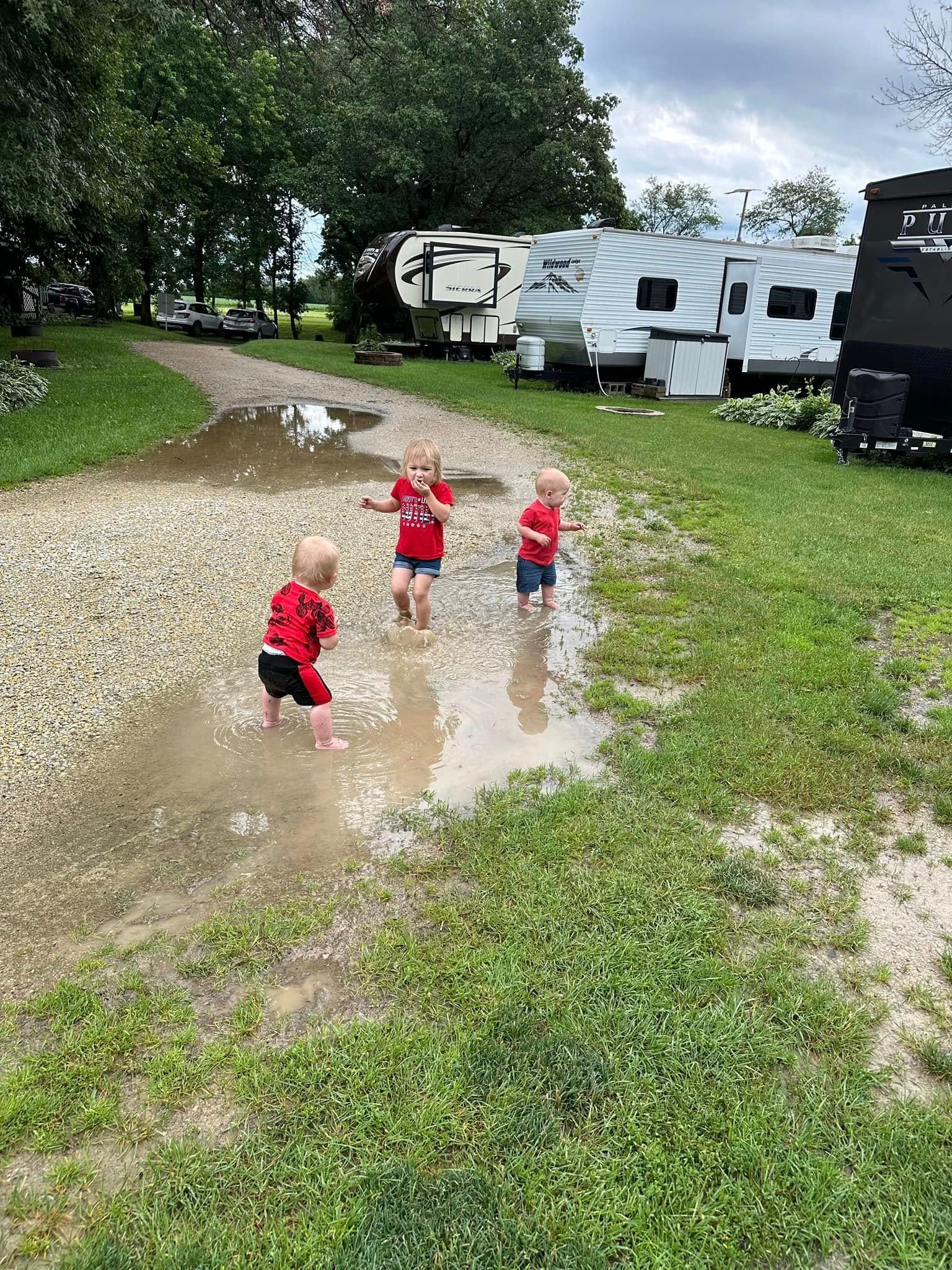 Three children are playing in a muddy puddle.