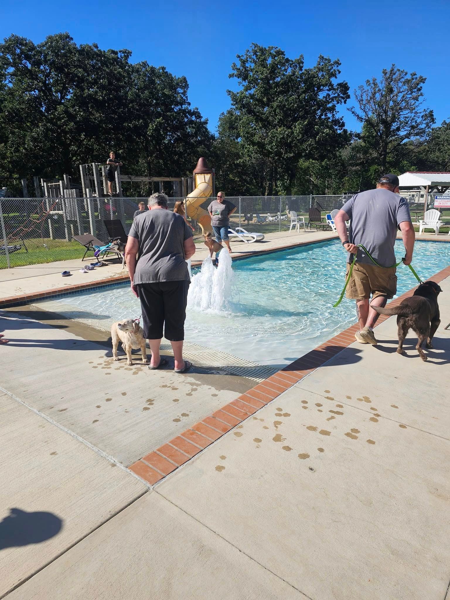 A group of people are standing around a swimming pool with their dogs.