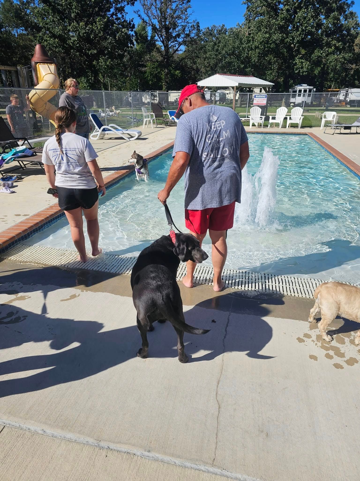 A man and a woman are walking their dogs near a swimming pool.