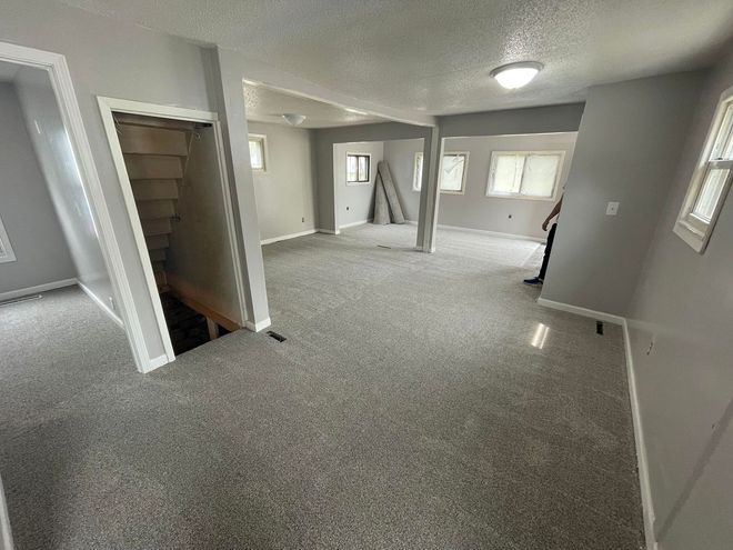 Mike the Carpet Guy