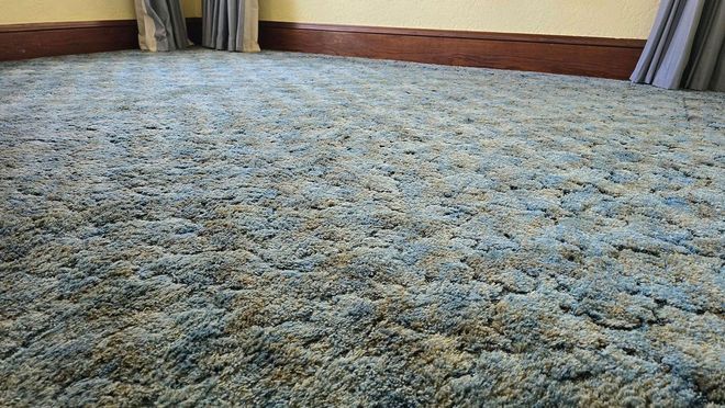 Mike the Carpet Guy